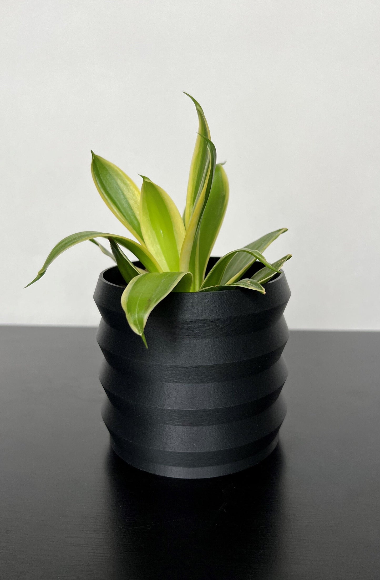 Black Ziggy Planter Pot