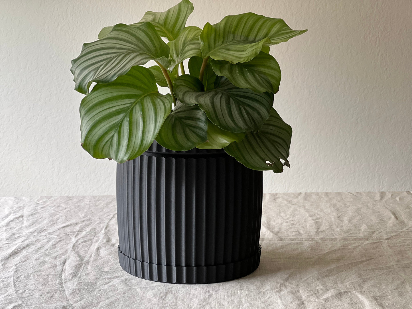 Black Lined Planter Pot