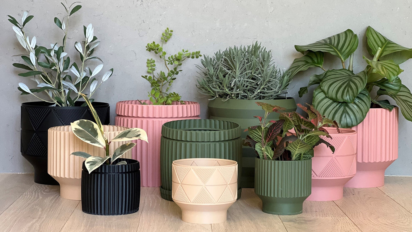 Black Lined Planter Pot